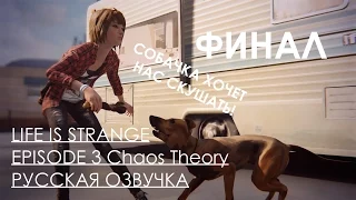 Life is Strange Episode 3 Chaos Theory Прохождение Русский Перевод ОЗВУЧКА ФИНАЛ