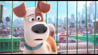 The Secret Life of Pets - Max Complains - Own it Now