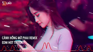 Cánh Hồng Mờ Phai Remix Tú Na - EDM Hot Tiktok 2024, BXH Nhạc Trẻ Remix Mới Nhất Đang Thịnh Hành