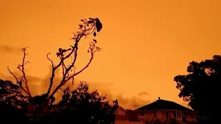 Australia bushfires: New Zealand skies turned bright orange by smoke