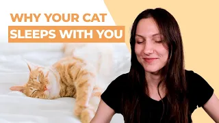 How Cats Choose Who to Sleep With