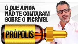 PRÓPOLIS: para que serve e como tomar 🐝💧