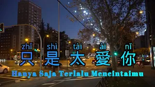 Zhi Shi Tai Ai Ni 《只是太愛你 》 Hanya Saja Terlalu Mencintaimu - Lirik Terjemahan | 拼音歌词