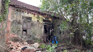 Over time, the forest covered the entire abandoned house | Cut down trees to clean up the house