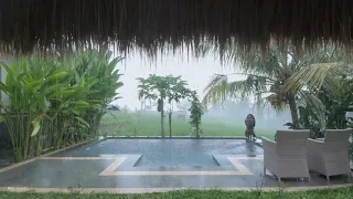 Heavy Rain Pour & Thunder Rumble in Backyard Pool | Perfect for Sleep, Relaxation, Insomnia, PTSD