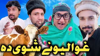 Ghwa Lewani Shwi Da || Funny Video By Gull khan Vines 2022 #comedy #funnyvideos2022