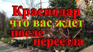 Что Вас ждет после переезда в Краснодар