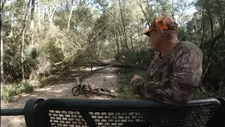 Hunting Pig with a Crossbow 2022 Florida Public Land!