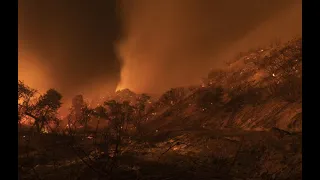 В Карелии горят леса. Введен режим чрезвычайной ситуации.