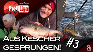 Dicke Barsche und Kescher-Action! Profi-Liga S5F3