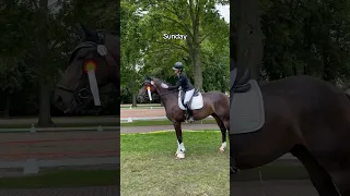 Equestrian life with my best boys🐴🐴🖤 #equestrian #viral #horse #short