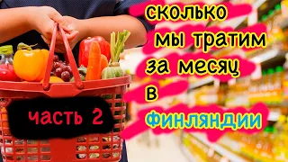 Сколько тратим за месяц в Финляндии [часть 2]