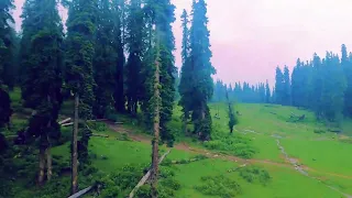 Phase 1 Gandola, Gulmarg, Kashmir