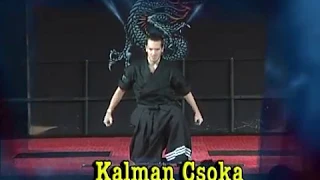Kalman Csoka Double Sword Kata 2010 Diamond Nationals Karate Tournament