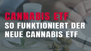 Cannabis ETF: Anwendungsgebiete und Investmentmöglichkeiten