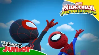 🕸️ Gwen, top momente | Păienjenelul Marvel și prietenii lui uimitori | Disney Junior România