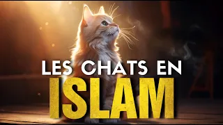 LES CHATS EN ISLAM !