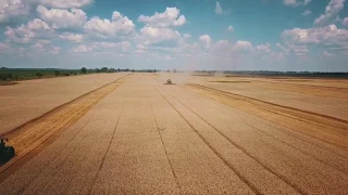 DJI Mavic Pro. Demonstration video about harvesting wheat