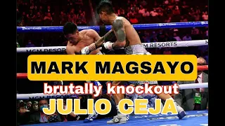 Mark Magsayo WBO Champion