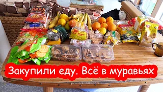 VLOG А у меня уборка. Играем с дочками