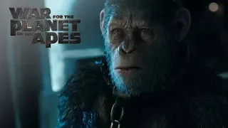 War for the Planet of the Apes | "Witness The End" TV Commercial