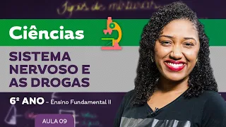 Sistema nervoso e as drogas – Ciências – 6º ano – Ensino Fundamental