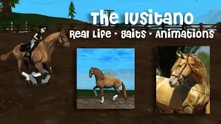 Lusitano: Gaits, Animations, & Real Life