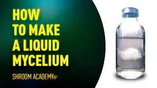 🍄 Shroom Academy how to make a liquid mushroom culture or liquid mycelium