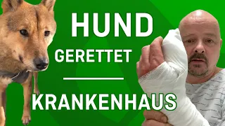 Hund nach 14 Wochen gerettet, Stefan im Krankenhaus - Tiernotruf #354