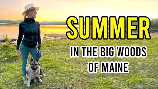 Summer in the Big Woods of Maine - Living Alone in a Cabin Tent