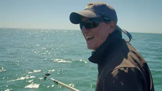 Tagging a Great White in Cape Cod | Shark Week 2020