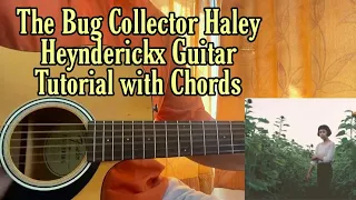 The Bug Collector - Haley Heynderickx | Guitar Tutorial | Lesson | Fingerpicking