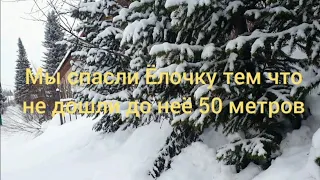 Усть-Каменогорск Тарханка Поход в Тайгу за Елочкой на Старый Новый Год-Но Ёлка Спасена