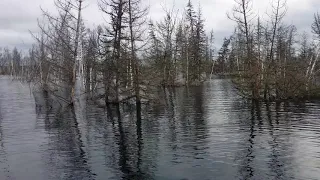 Богучанское водохранилище рыбалка