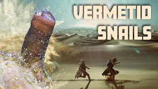 How to get rid of Vermetid Snails!
