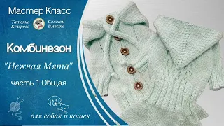 Комбинезон для собаки спицами, часть 1, Dog clothes