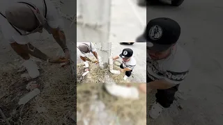 CONSTRUIMOS COMEDEROS PARA PERROS CALLEJEROS! 🚨Checa el video completo en nuestro canal