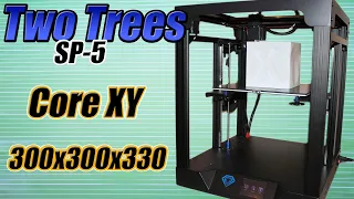 Two Trees SP 5 Core XY. Обзор 3Д принтера