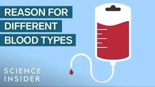 Why You Can't Mix Blood Types