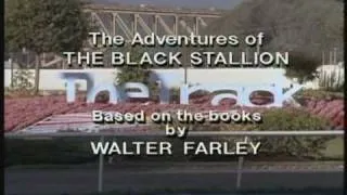 Adventures Of The Black Stallion S1E13 Part 1.wmv