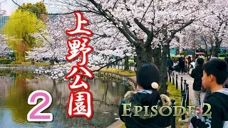 【Cherry blossoms】TOKYO. Ueno Park, Episode 2. 2019 #4K #上野公園 #ソメイヨシノ