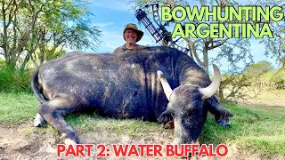 ARGENTINA BOWHUNTING ADVENTURE, PART 2: WATER BUFFALO with a TRIFECTA Broadhead