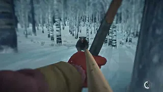 THE LONG DARK: Bear & Moose same time