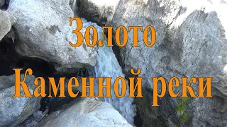 Золото Каменной реки! Gold of the Stone River!