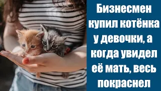 A businessman bought a kitten from a girl, and when he saw her mother, he blushed all over