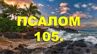 Псалтирь. ПСАЛОМ 105. [рус.]