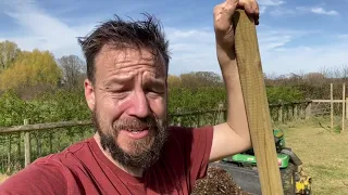 How To Make Free Tree Guards And Weed Suppressant