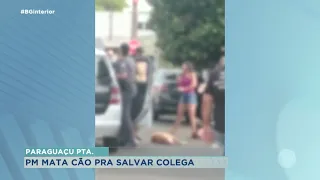 Confusão e morte de um cachorro em Paraguaçu Paulista