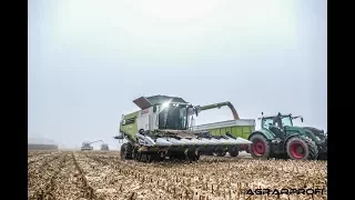 Maisernte | 2x Claas Lexion | Fendt 936