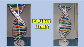 How to Make 3D DNA Model (from paper & stick)